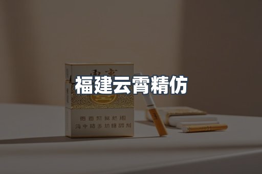 福建云霄精仿